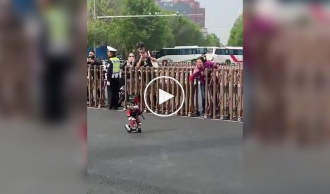 Миниатюрный робот прославился после забега