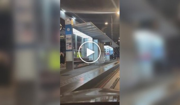 A Birmingham resident did not allow a thief to escape