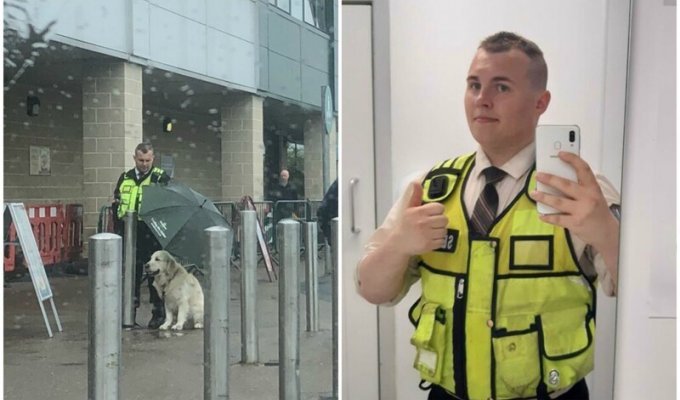 Охранник растрогал соцсети, укрыв чужую собаку зонтом (6 фото)