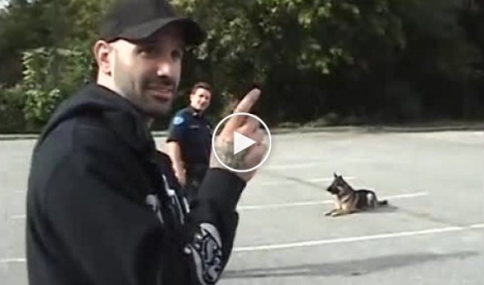 Отличный пес, который слушается своего полицейского