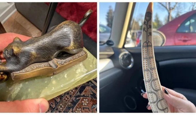 12 штуковин, которые невозможно опознать без подключения коллективного разума (20 фото)