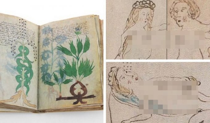 Researchers of the Voynich manuscript are confident that they have unraveled its purpose (10 photos)