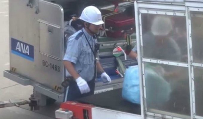 Вот как в японском аэропорту обращаются с багажом пассажиров (1 фото + 3 видео)