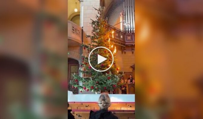 Impressive lighting of candles on a Christmas tree