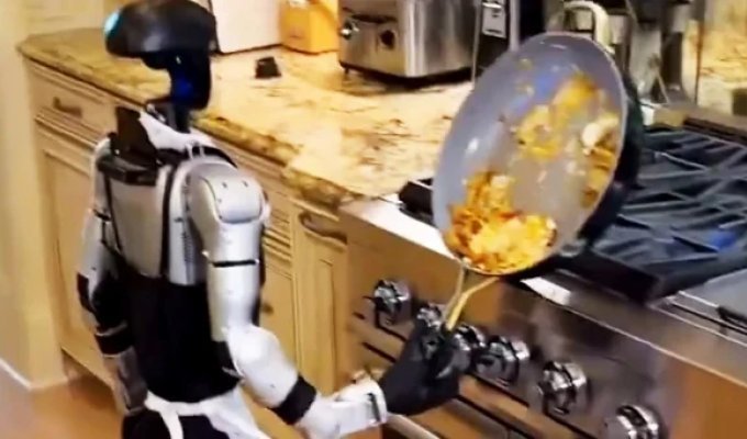 Повара, ваши рабочие места в безопасности! Робот не справился с простым заданием на кухне (5 фото + 2 видео)