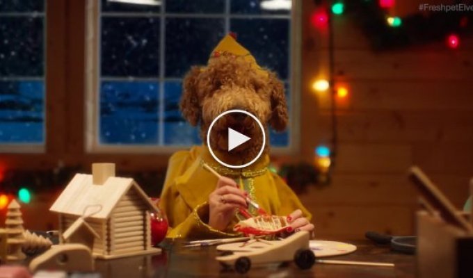 Новогодняя реклама корма для животных которая подарит вам праздничное настроение