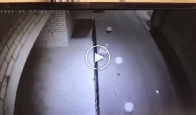 В Смоленске женоненавистник жестоко избил девушку прямо на улице