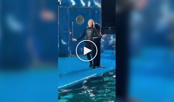 Когда тюленю можно позавидовать