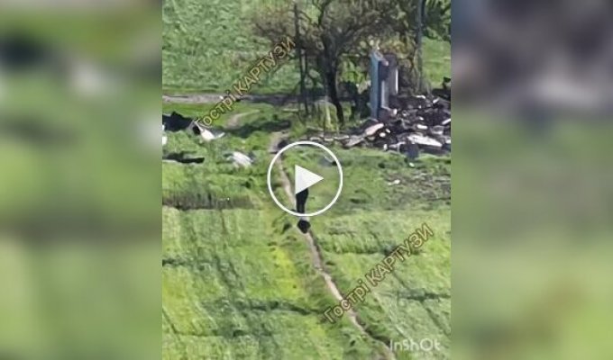 Оккупант выгуливает своего пособника, который ползет за ним на четвереньках