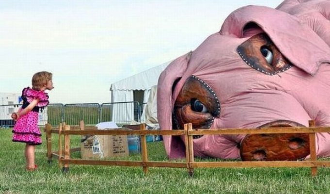 Прикольные картинки. Выпуск 1429