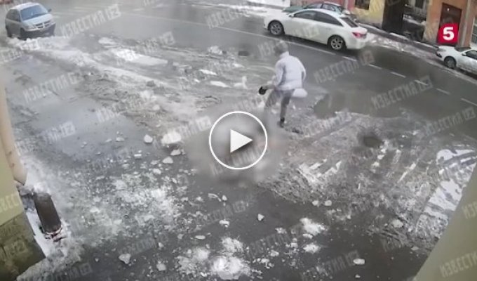 В Петербурге рухнувший с крыши кусок льда убил собаку на глазах у ее юной хозяйки