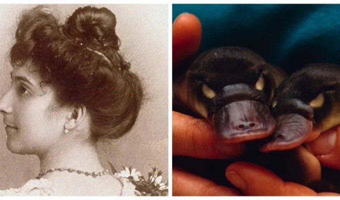 8 Scientific and Historical Facts That Shatter Our View of the World (9 photos)