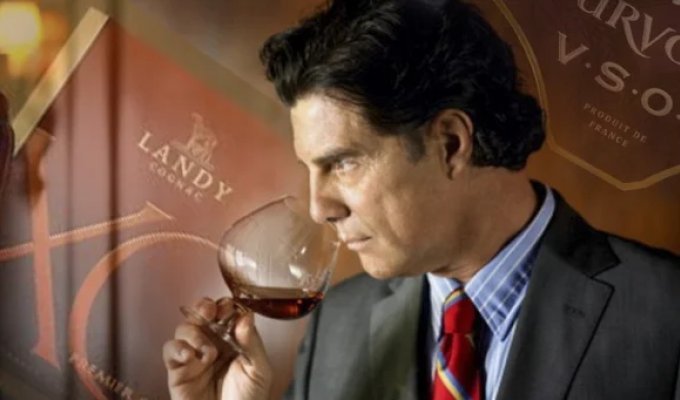 What XO, VS, and VSOP Mean on Cognac Labels (10 photos)