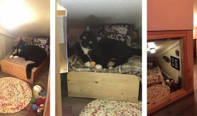 Милота дня: крохотная спальня для кошки (10 фото)