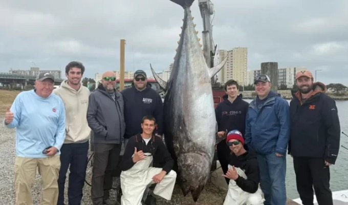 Рыбак похвастался рекордным уловом весом почти 380 кг (3 фото)