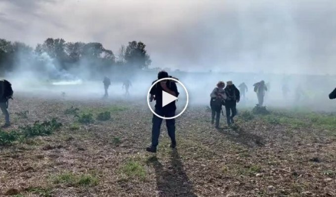 Во Франции эко-активисты устроили жесткую массовую драку с полицией, защищая природу