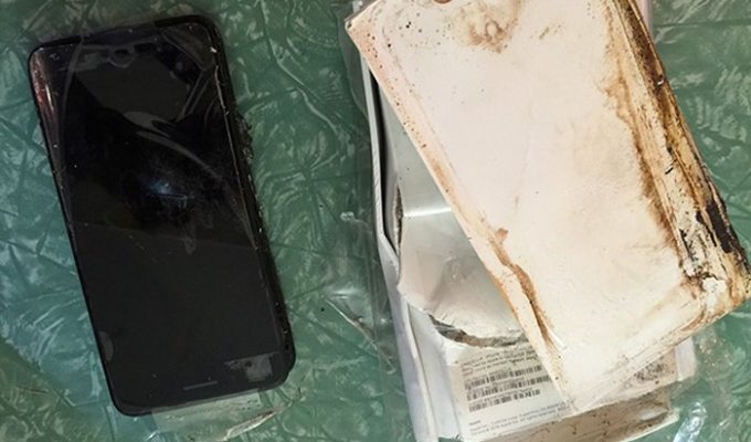 Во время доставки iPhone 7 взорвался прямо в коробке (4 фото)