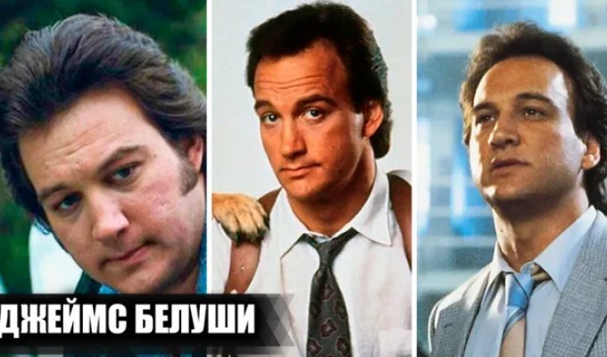 Successes, failures and the death of James Belushi’s career (13 photos)