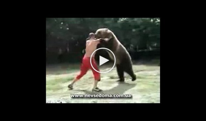 Человек против медведя
