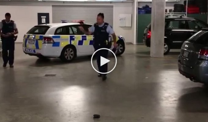 Полицейские Новой Зеландии устроили зажигательные танцы на служебной парковке