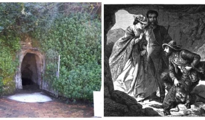 Собачья пещера: как собаки стали жертвами туристического аттракциона (11 фото)