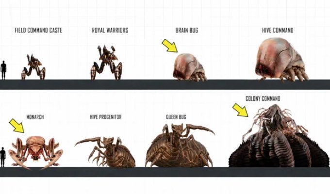 Every Arachnid Type in "Starship Troopers" (20 Photos)