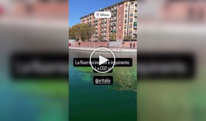 Экоактивисты окрасили воды Гранд-канала в Венеции в кислотно-зеленый цвет