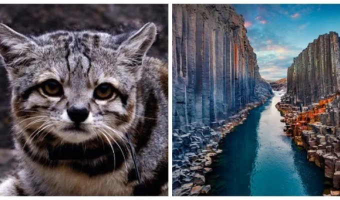 20 природных диковин, от которых перехватывает дыхание (21 фото)