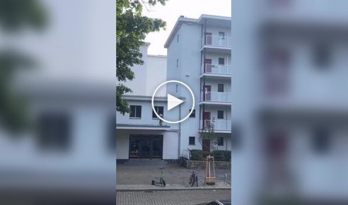 Weird Videos (Short Videos) Issue 39