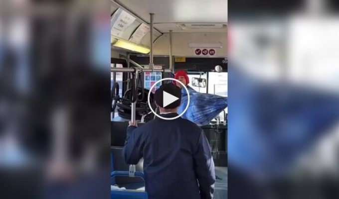 An American hung a hammock on a bus