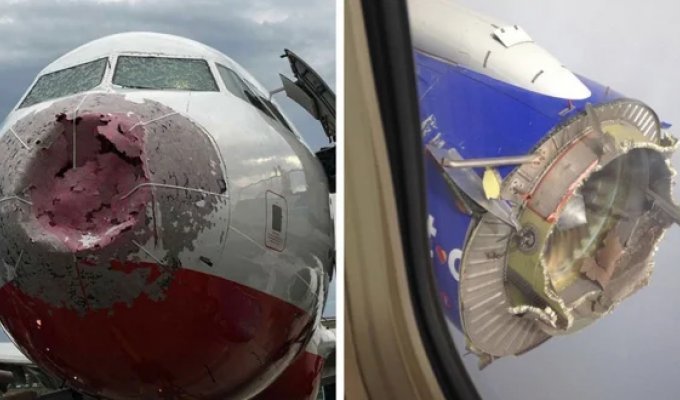 Кадры, сделанные после приземления самолетов: лучше этого не видеть (15 фото)