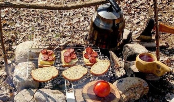 A picnic in nature is always a good idea (5 photos)