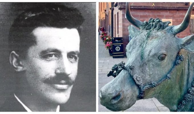 Турра Ку – бурёнка, ставшая символом сопротивления (10 фото)