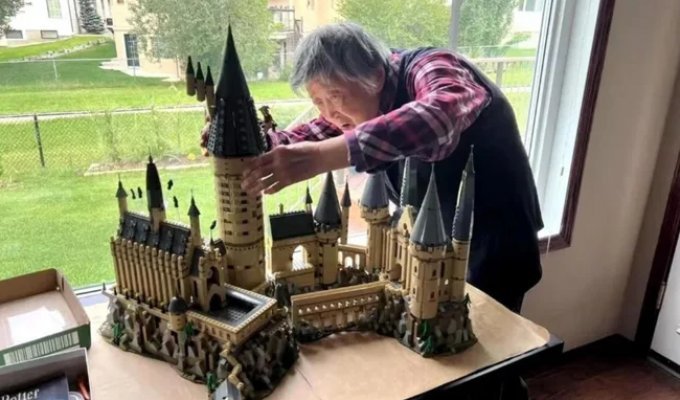 Китайская бабушка восстановила подвижность руки благодаря наборам LEGO (7 фото)