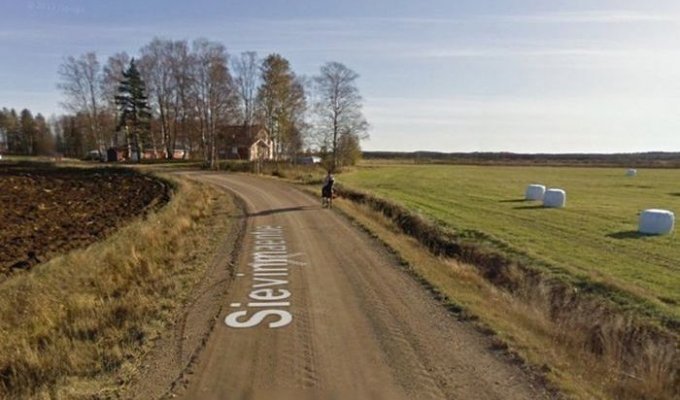 Последствия встречи лошади с машиной Google Street View (5 фото)