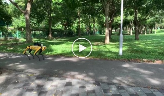 Робопес контролирует людей в сингапурском парке