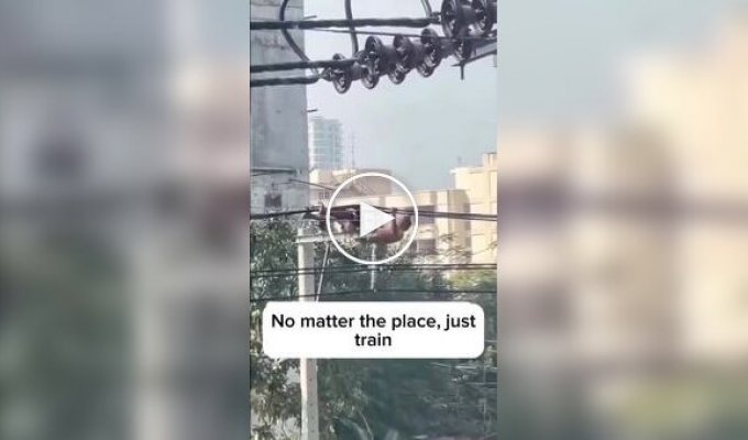 Weirdo used power lines as an outdoor exercise machine