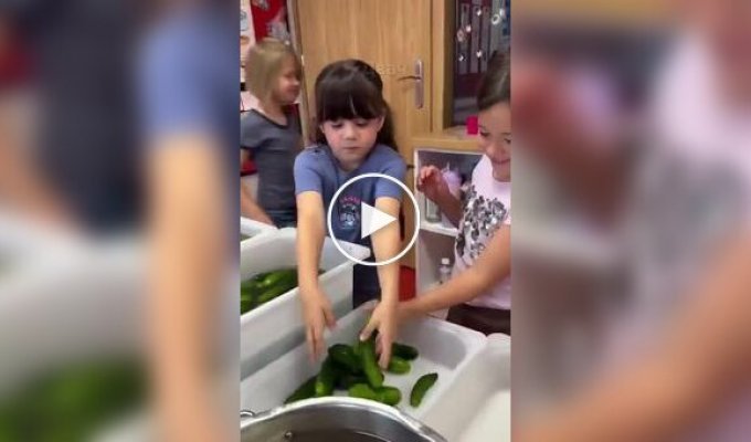 Чему учат детей в польских детсадах
