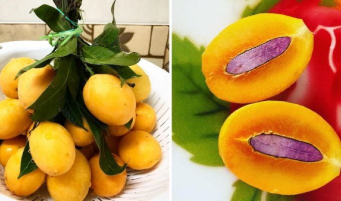 A selection of exotic fruits that few have heard of (15 photos)