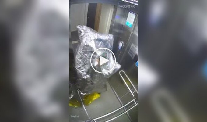 Лифтовый вредитель