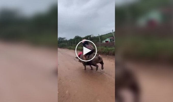 A short story about how children get to school in a Vietnamese village