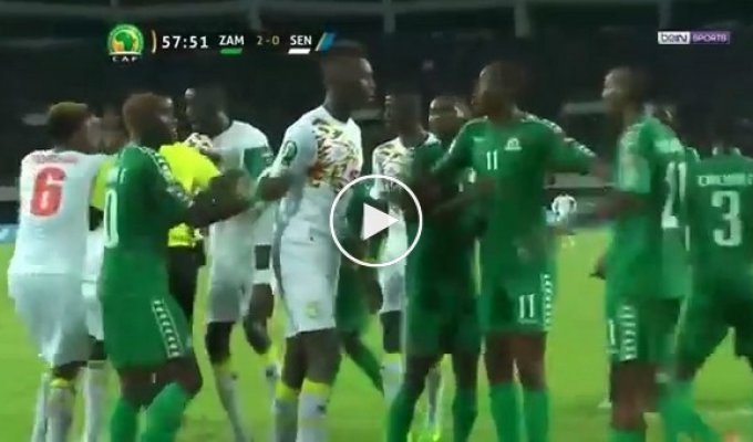 Сенегальский футболист подбросил в ворота команды-противника дохлую летучую мышь