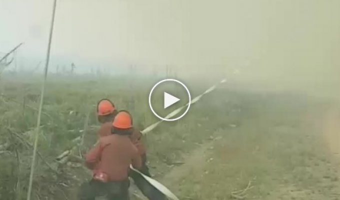 Канадские пожарные борются с торнадо