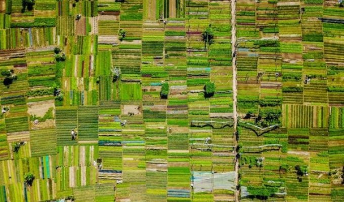 Земля в иллюминаторе: завораживающие виды Земли из окна самолета (19 фото)