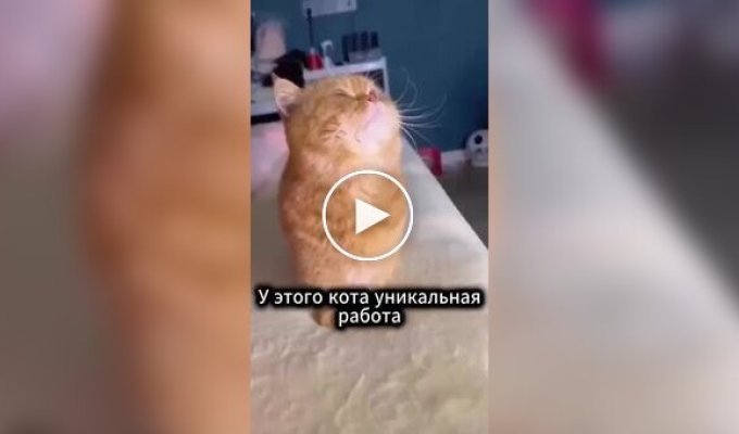 Профессиональная модель для рекламы ожерелий