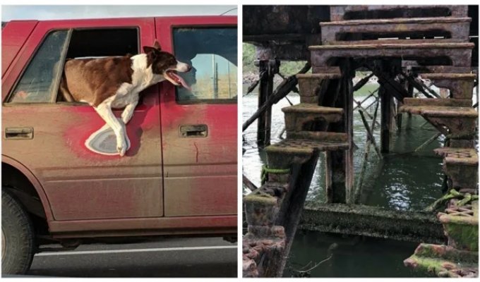 25 striking examples showing the relentless passage of time (26 photos)