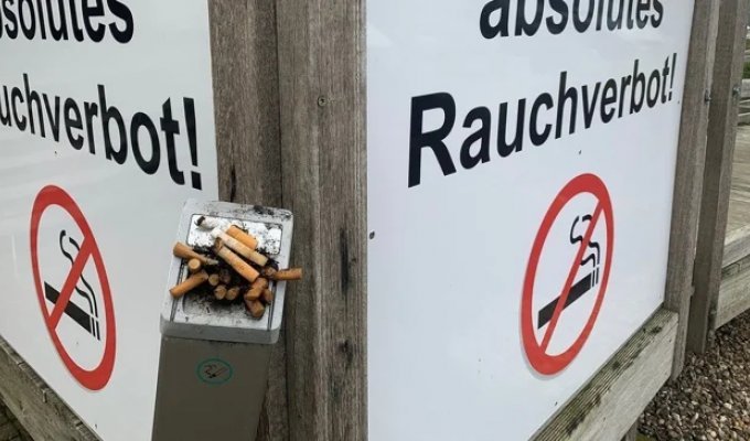 В Евросоюзе планируют полностью запретить сигареты с фильтром (2 фото)