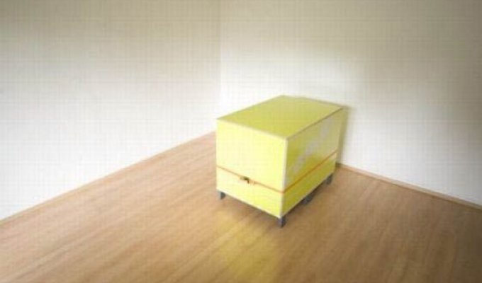  Перевоплощение маленькой коробочки (8 Фото)
