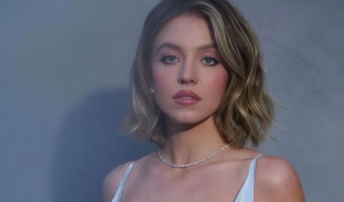 "Sorry, I have great breasts": Sydney Sweeney trolls haters (10 photos)