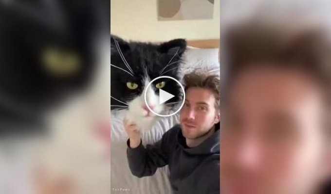 Кот показал, кто в доме хозяин